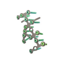 Vortex Calcaneus placa