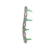 Vortex Clavicula lemezek