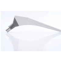 Pannon cement nélküli csípőprotézis szár