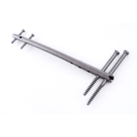 SpectruM Retrograde Femur nail