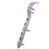 Vortex Proximal Femur lemez